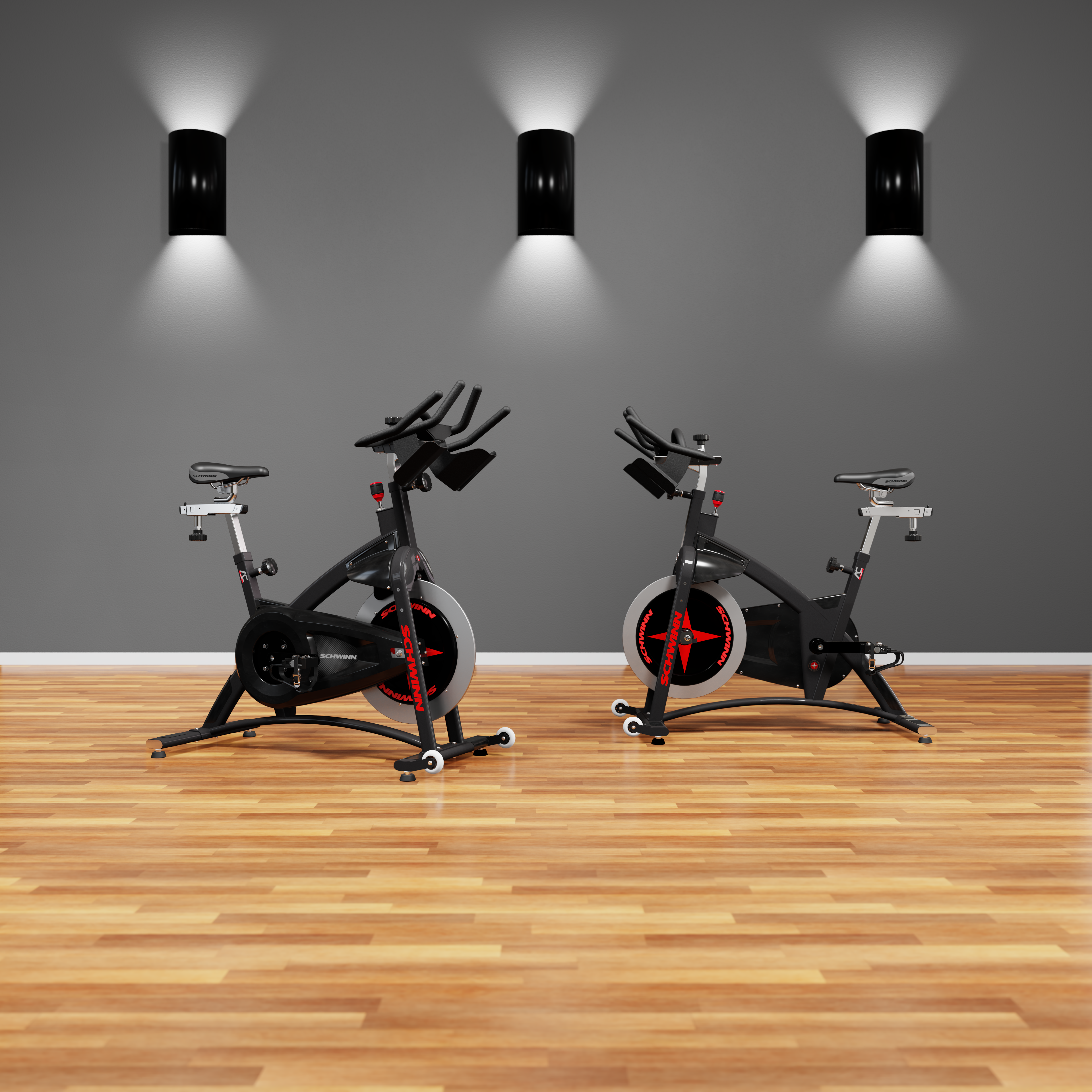 Schwinn ac sport store indoor bike