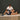 "exercises with backrack for pain relief"